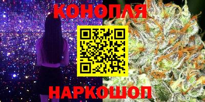 мдпв Обь