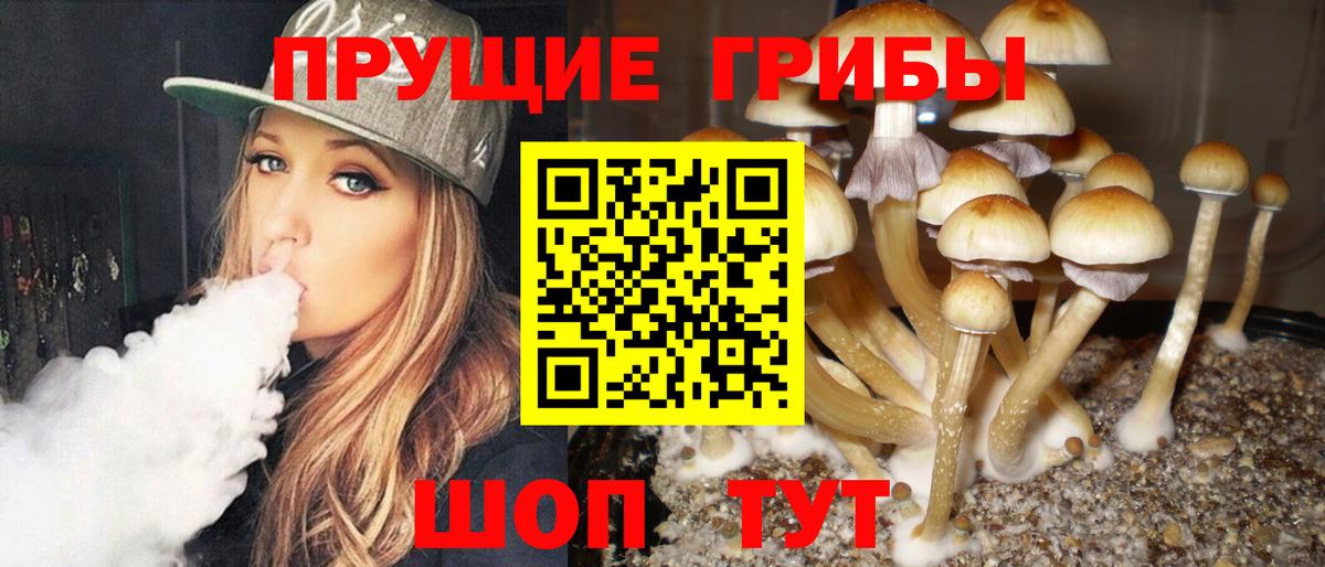 Псилоцибиновые грибы Psilocybine cubensis Сатка